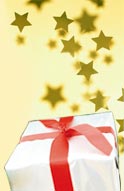 Christmas Craft